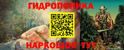 mdpv Лесосибирск