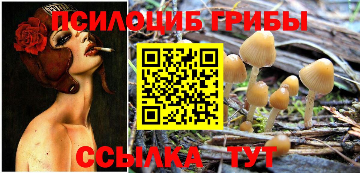 Псилоцибиновые грибы Magic Shrooms Губкин